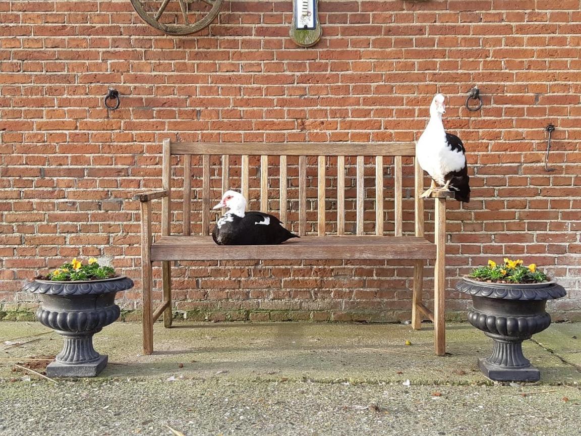 Wol Thus Villa Paesens Exteriör bild